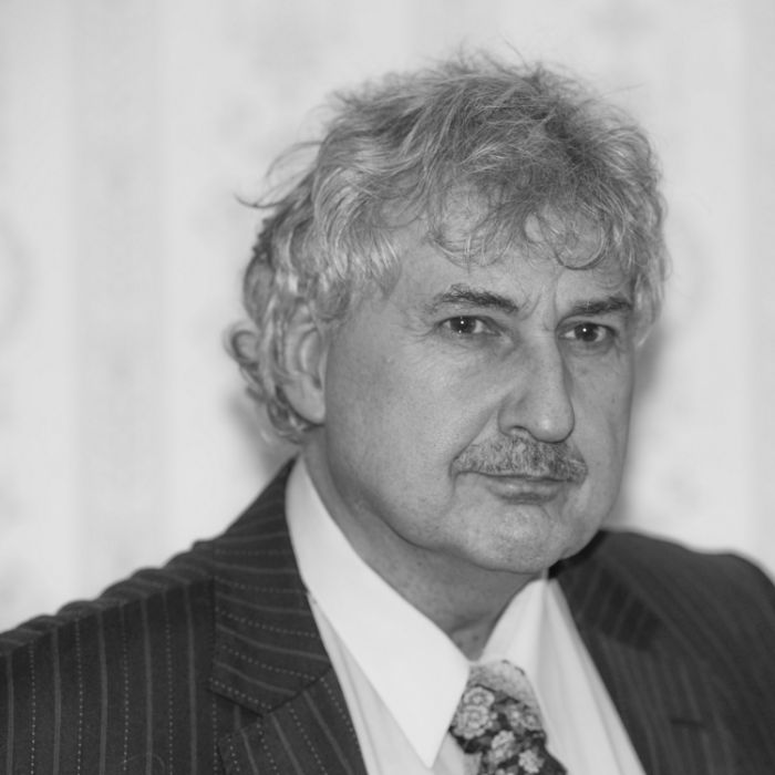 Französisches Interim Projekt Interim Manager Frankreich