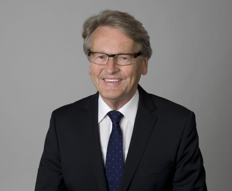 Interim CEO Geschäftsführer - Interim Profis