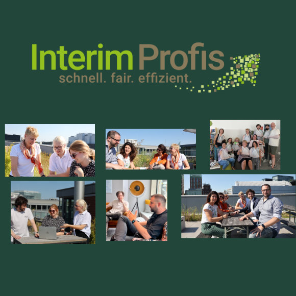 Gruppenbild Interim Profis