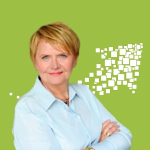 Interim Projektleiter - Interim Profis
