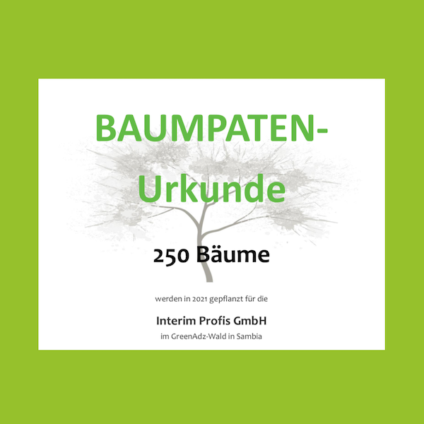 Interim Profis lassen Bäume pflanzen - Interim Profis Interim Profis lassen Bäume pflanzen - Interim Profis